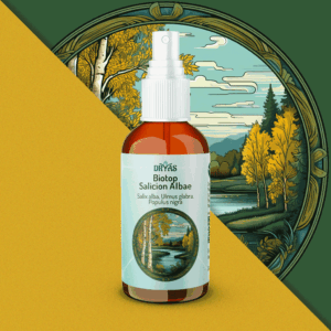 Biotop Salicion Albae