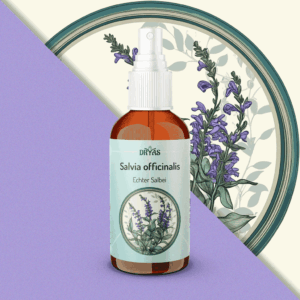 Salvia officinalis